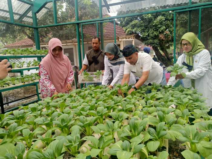 Budidaya Ayam Kampung di Pekarangan Rumah - Sinau Ternak Budidaya Ayam Kampung di Pekarangan Rumah - Sinau Ternak
