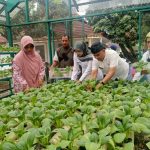 Cara Ternak Ayam Kampung agar Cepat Panen | PPG