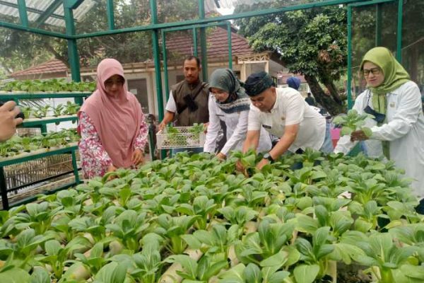 Cara Ternak Ayam Kampung agar Cepat Panen | PPG