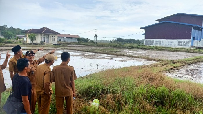 Peternakan ayam kampung di Seunagan Timur, Nagan Raya
