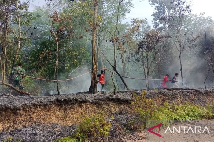 InfoPublik - Hulu Aceh Tamiang Banjir, Siqp siap Wilayah Tengah Dan ... InfoPublik - Hulu Aceh Tamiang Banjir, Siqp siap Wilayah Tengah Dan ...