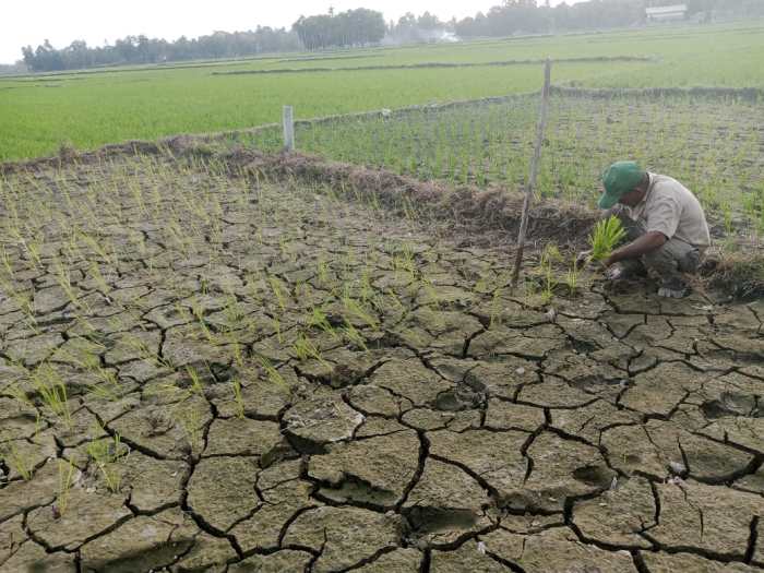 Meninggal di Malaysia, Jenazah Aris Munandar Tiba di Labuhan Haji Barat ... Meninggal di Malaysia, Jenazah Aris Munandar Tiba di Labuhan Haji Barat ...