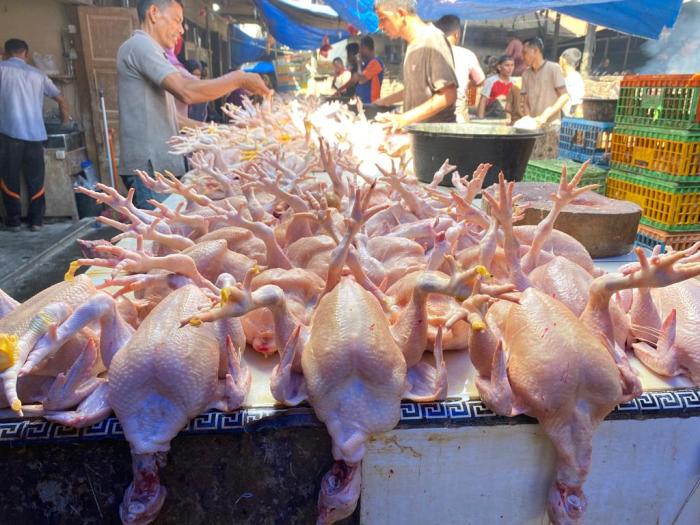 Harga Ayam Kampung Tembus Rp 150 Ribu di Palu - Bisnis Liputan6.com
