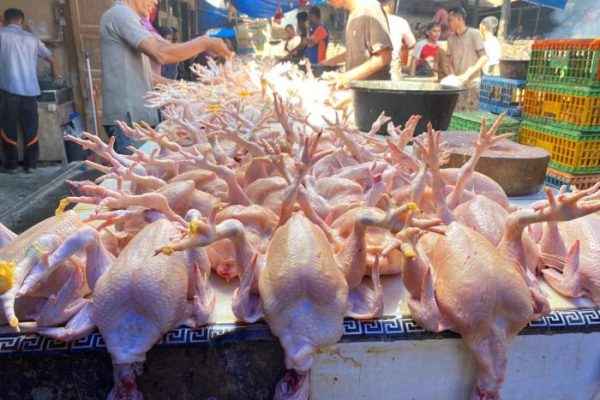 Harga Ayam di Banda Aceh Tetap Stabil Meski Permintaan Meningkat ...