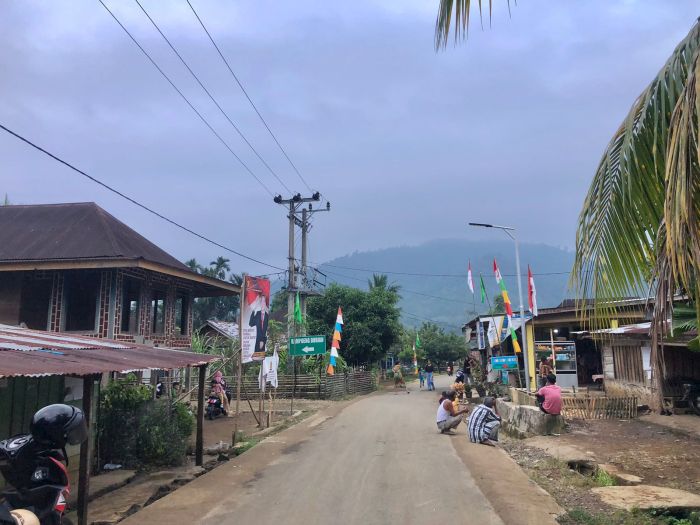 Pesona Keindahan Alam Desa Datar Lebar, Taba Penanjung, Bengkulu Tengah ...