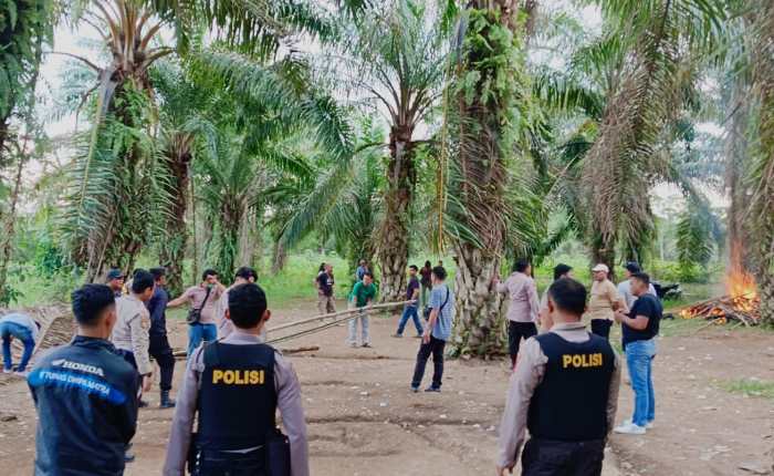 Resahkan Masyarakat, Polres Lampung Tengah Bubarkan Praktek Judi Sabung ...