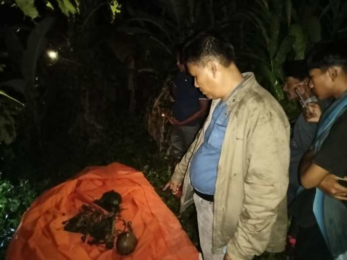 Polsek Labuhan Ratu Tangkap Pelaku Sabung Ayam - Portal Berita Lampung ... Ayam arab di Labuhan Ratu, Lampung Timur