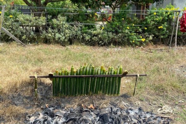 Ternak jangkrik di Kluet Timur, Aceh Selatan