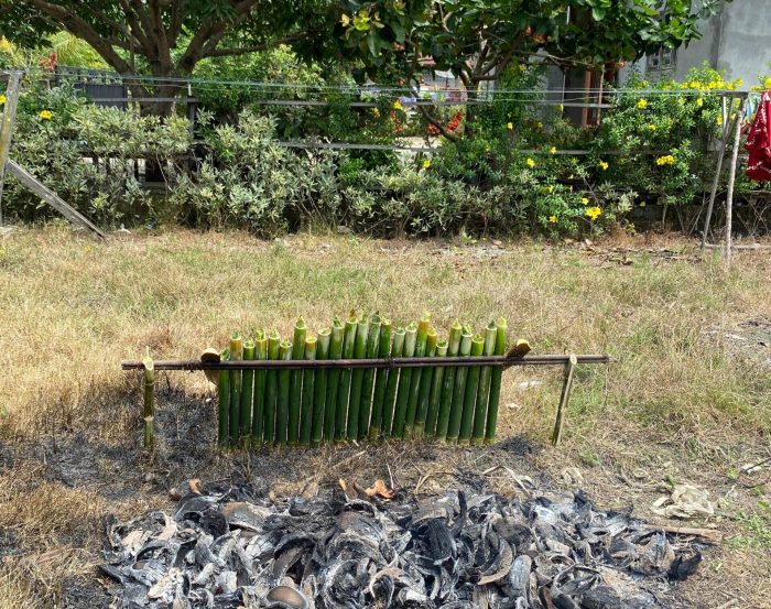 Ternak jangkrik di Kluet Timur, Aceh Selatan