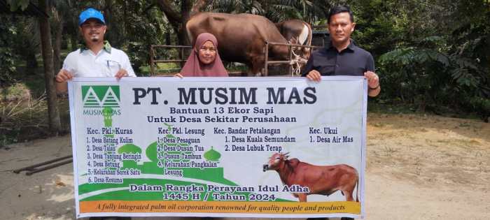 √ Informasi Lengkap Mengenai Ayam Arab - hobiternak.com Ayam arab di Rawa Jitu Utara, Mesuji