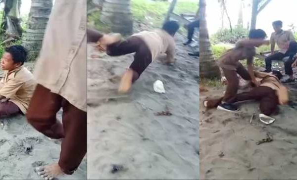 Sekilas Tentang Ayam Arab ~ CV. KANDANG PASOPATI FARM