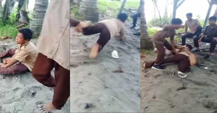 Sekilas Tentang Ayam Arab ~ CV. KANDANG PASOPATI FARM Sekilas Tentang Ayam Arab ~ CV. KANDANG PASOPATI FARM