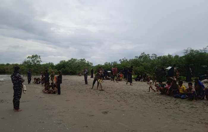 116 Warga Etnis Rohingya Terdampar Di Pulau Kecil Birem Bayeun Ternak jangkrik di Birem Bayeun, Aceh Timur