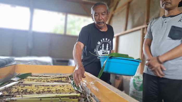 Ternak Jangkrik Haji Juju Raup Jutaan Rupiah - antaramediacentral.id Ternak Jangkrik Haji Juju Raup Jutaan Rupiah - antaramediacentral.id