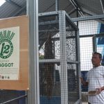 Ternak maggot di Muara Bangka Hulu, Kota Bengkulu