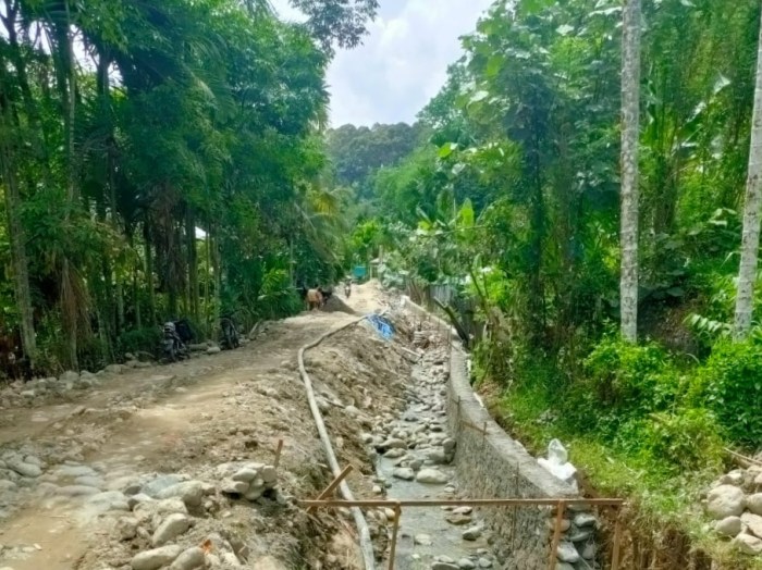 Cara Beternak Jangkrik Kalung: Budidaya Ternak Jangkrik