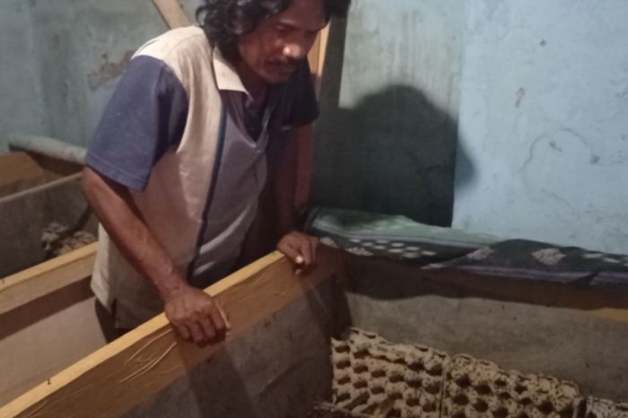 Cara Ternak Jangkrik Untuk Pemula..Hasilkan Keuntungan Besar Dengan ... Cara Ternak Jangkrik Untuk Pemula..Hasilkan Keuntungan Besar Dengan ...