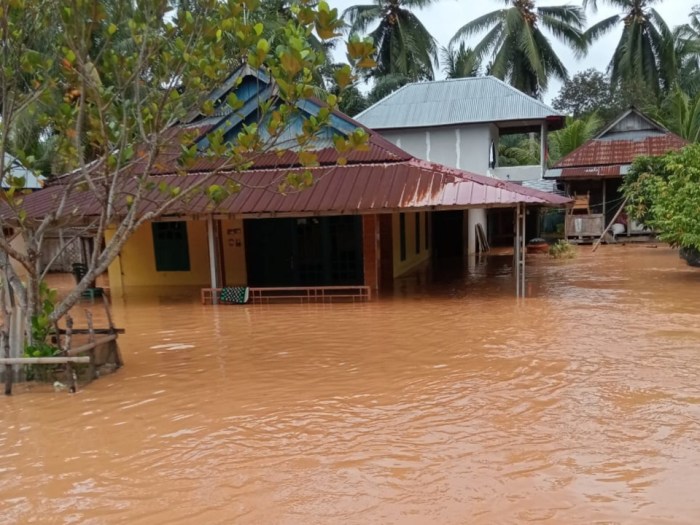 Ternak maggot di Semidang Alas Maras, Seluma
