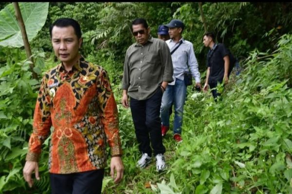 Ayam arab di Selupu Rejang, Rejang Lebong