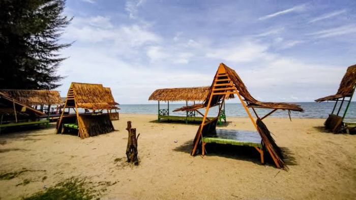 Jual Telor Jangkrik Bisa Kirim Ke Banda Aceh 085656642692 Jual Telor Jangkrik Bisa Kirim Ke Banda Aceh 085656642692