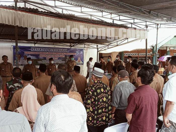 Informasi Lengkap Mengenai Ayam Arab - HOBI TERNAK Informasi Lengkap Mengenai Ayam Arab - HOBI TERNAK