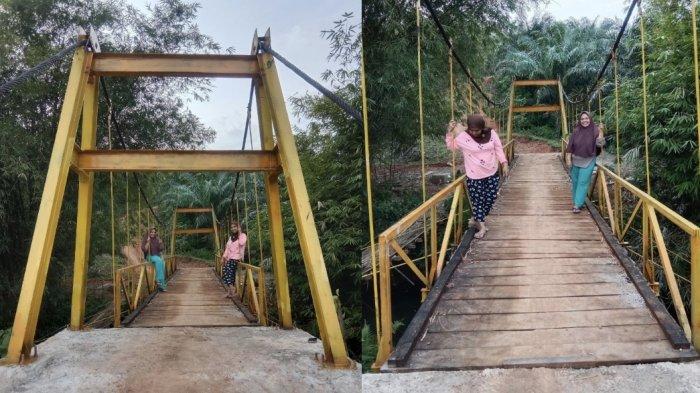 √ Informasi Lengkap Mengenai Ayam Arab | HOBI TERNAK √ Informasi Lengkap Mengenai Ayam Arab | HOBI TERNAK