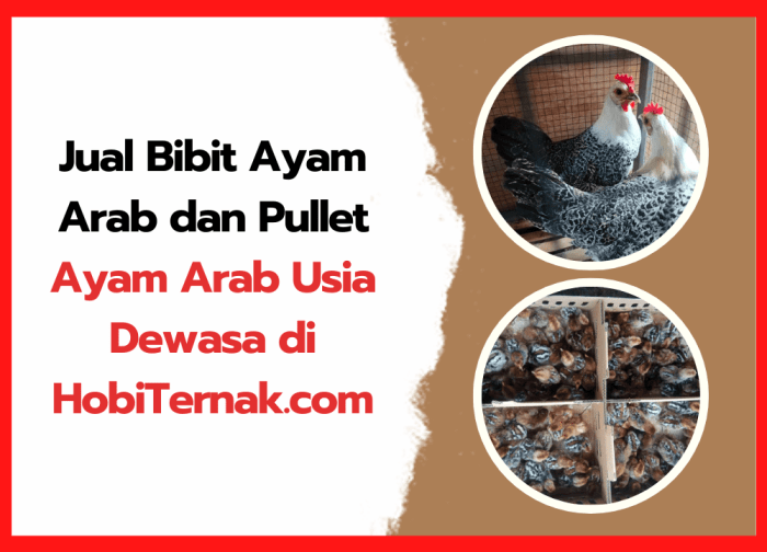 PJ Bupati Tulang Bawang Gelar Berbagai Kegiatan di Kecamatan Gedung Aji ... PJ Bupati Tulang Bawang Gelar Berbagai Kegiatan di Kecamatan Gedung Aji ...