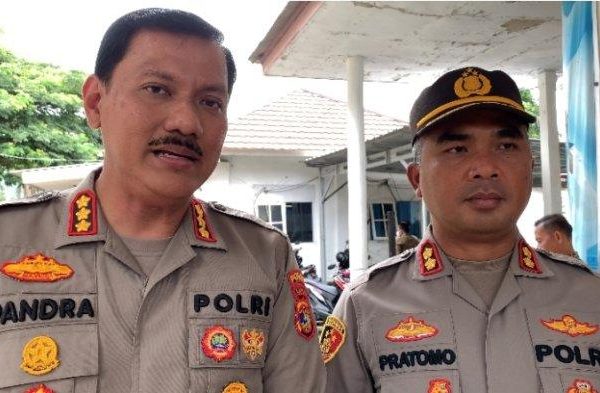 Bukan Ayam Pedaging, Apalagi Petelur, Berikut Ayam Petarung yang ...