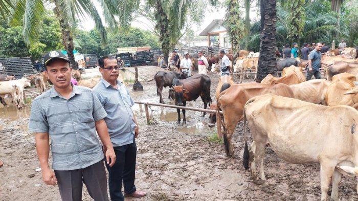 Cuaca panas picu Karhutla di Aceh Tamiang - ANTARA News Aceh Ternak jangkrik di Tamiang Hulu, Aceh Tamiang