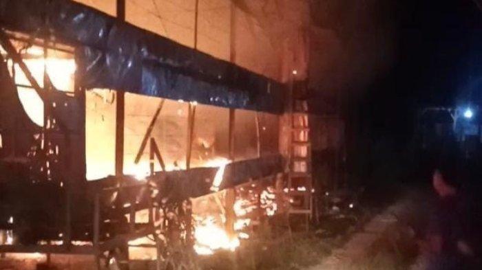 Kandang di Langsa Baro Terbakar, Ribuan Ayam Broiler Terpanggang ... Ternak jangkrik di Langsa Baro, Kota Langsa