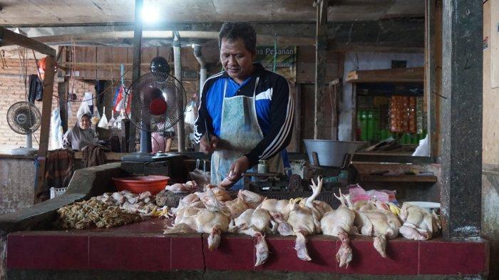Ayam arab di Punggur, Lampung Tengah