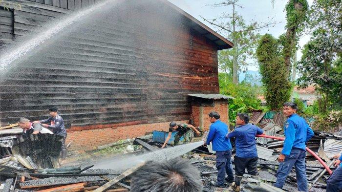 Geliat Usaha Ternak Jangkrik di Klungkung! Peternak Kesulitan Penuhi ... Geliat Usaha Ternak Jangkrik di Klungkung! Peternak Kesulitan Penuhi ...