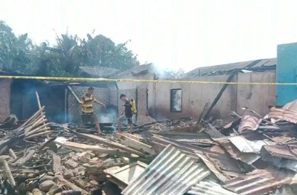 Ayam arab di Sindang Beliti Ilir, Rejang Lebong