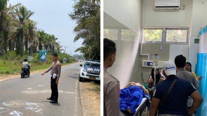 Harga ayam potong di Bengkulu Rp28 ribu per kilogram - ANTARA News Bengkulu Ayam arab di Pondok Kubang, Bengkulu Tengah