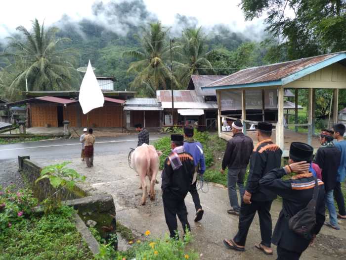Peternakan ayam kampung di Pining, Gayo Lues