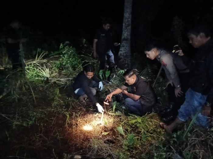 Ternak jangkrik di Peureulak Timur Aceh Timur