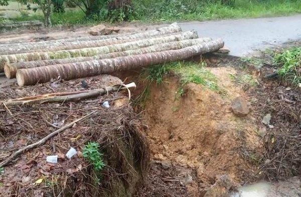 Ayam arab di Negeri Besar, Way Kanan