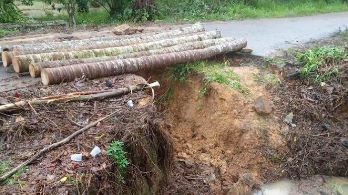 Ayam arab di Negeri Besar, Way Kanan