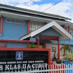 Membandingkan Harga Ayam Arab Dengan Ayam Petelur Yang Lainnya HOBI TERNAK