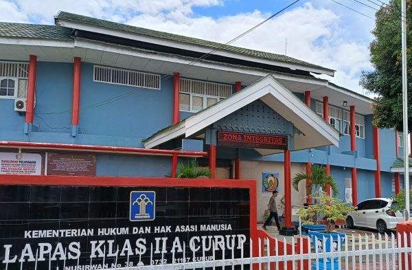 Membandingkan Harga Ayam Arab Dengan Ayam Petelur Yang Lainnya HOBI TERNAK