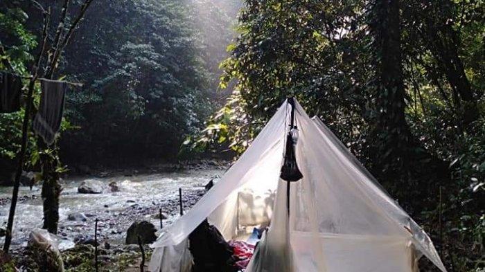 Cara Ternak Jangkrik untuk Pemula, Mudah Dipraktikkan dan Tak Perlu ... Cara Ternak Jangkrik untuk Pemula, Mudah Dipraktikkan dan Tak Perlu ...