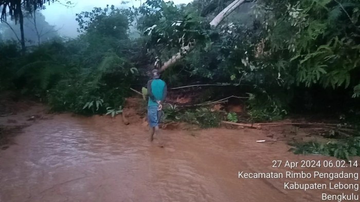 Polsek Rimbo Pengadang kembali Pasang Tanda pengaman di sejumlah lokasi ... Ayam arab di Rimbo Pengadang, Lebong