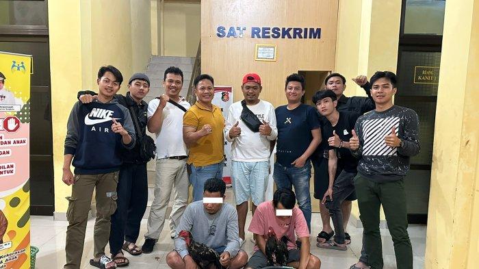 Cek Keunggulan Ayam Arab yang Menguntungkan Bagi Peternak - HOBI TERNAK Ayam arab di Lebong Tengah, Lebong