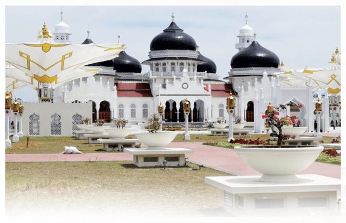 Berapa Harga DOC Ayam Kampung Super untuk Wilayah Banda Aceh