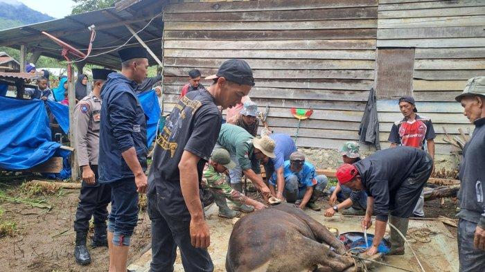 Ternak jangkrik di Jagong Jeget, Aceh Tengah