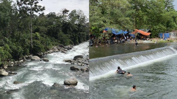 Mengembangkan Usaha Ternak Ayam Arab: Panduan Untuk Pemula (Part 2 ... Ayam arab di Air Nipis, Bengkulu Selatan