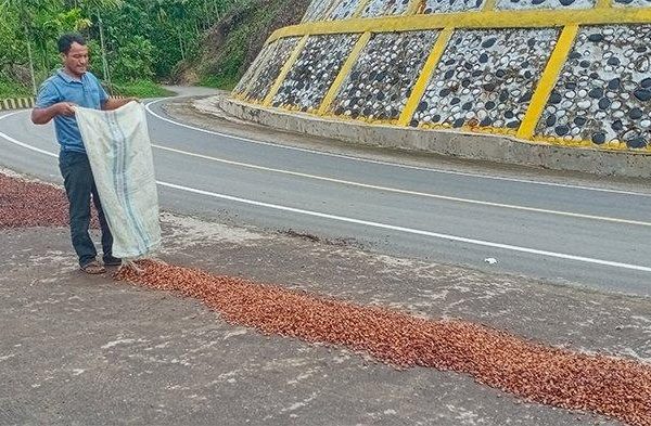 Ternak jangkrik di Putri Betung, Gayo Lues