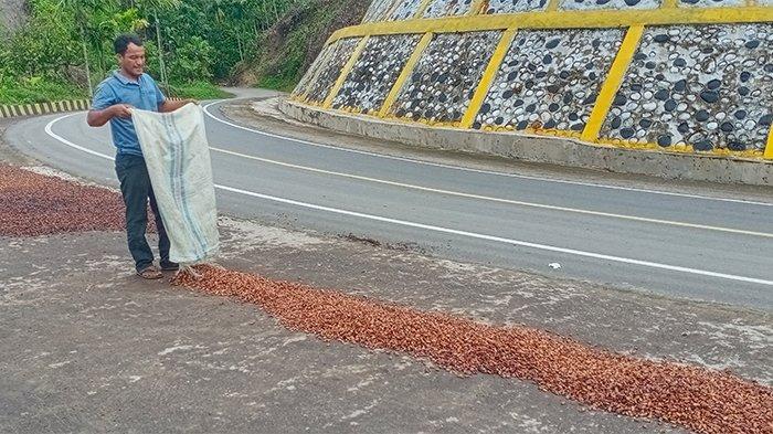 Mahasiswa STIT Syekh Saman Al-Hasan dan IAIN Takengon KKN Kolaborasi di ... Ternak jangkrik di Putri Betung, Gayo Lues
