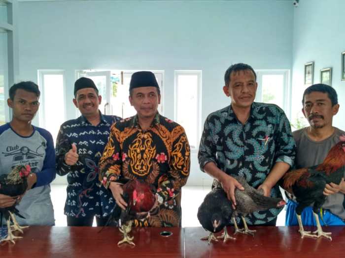 Peternakan ayam kampung di Nisam Antara, Aceh Utara