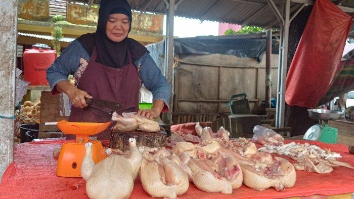 Ayam arab di Tanjung Agung Palik, Bengkulu Utara